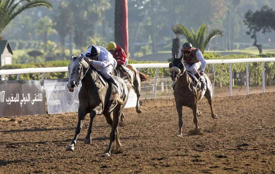 Caballos durante competencias. (WAM)