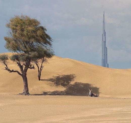 Una imagen de Dubai con el Burj Khalifa de fondo. (Instagram)
