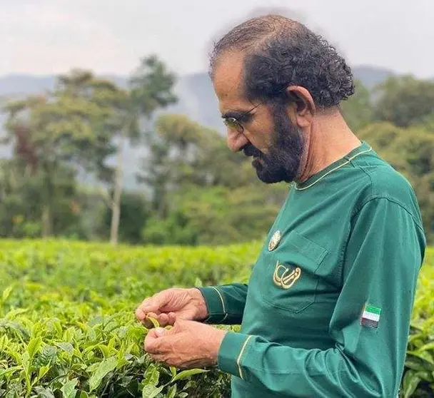 El gobernante de Dubai pasea por el resort en Ruanda. (Instagram)