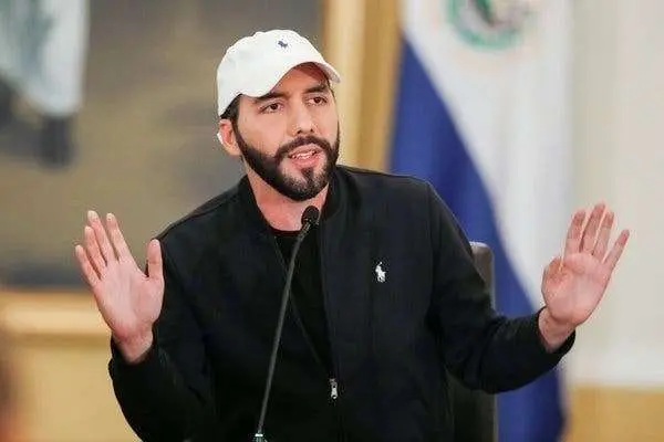 El presidente de El Salvador, Nayib Bukele. (Fuente externa)