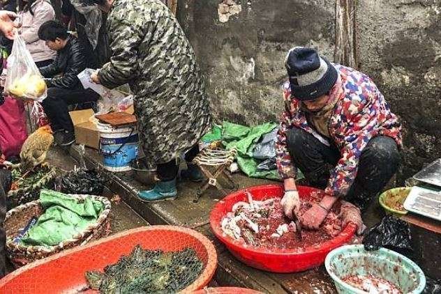 Una imagen del mercado de Wuhan. (Internet)