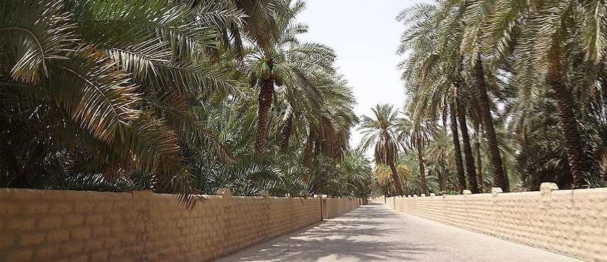 Una granja en Emiratos Árabes. (Fuente externa)