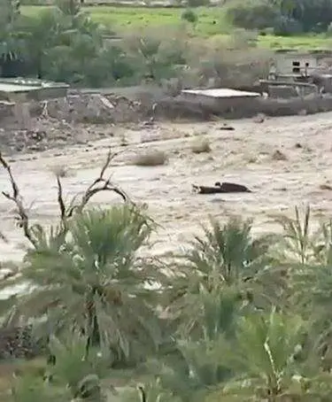 Una captura de pantalla del vídeo de un coche arrastrado por las aguas.