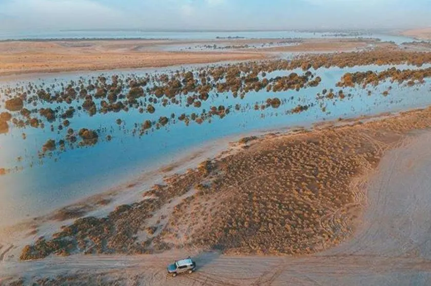 Salinas en el emirato de Umm Al Quwain. (Twitter)