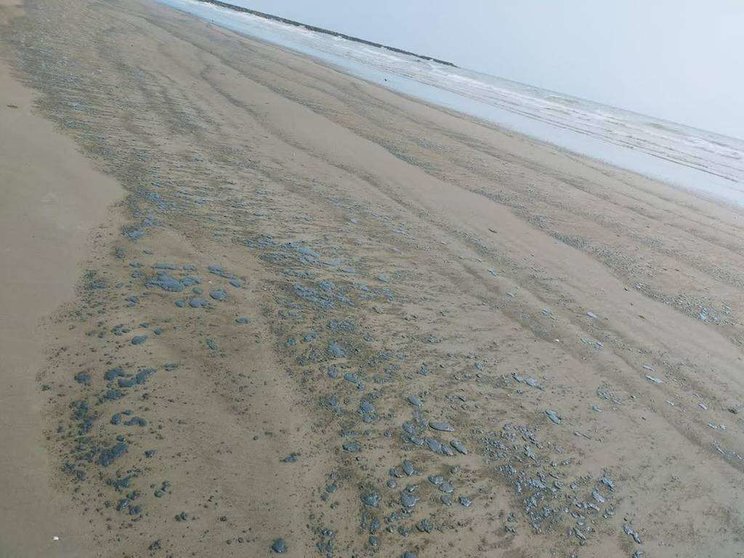 Medio Ambiente de Sharjah difundió imágenes de las manchas de petróleo en la playa.