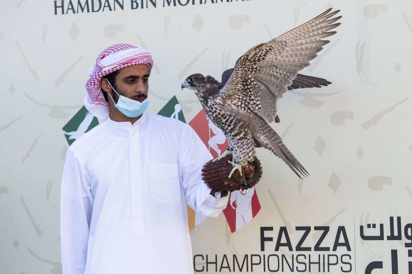 Antar, el halcón de Sheikh Hamdan bin Mohammed bin Rashid Al Maktoum en el campeonato de Dubai. (WAM)