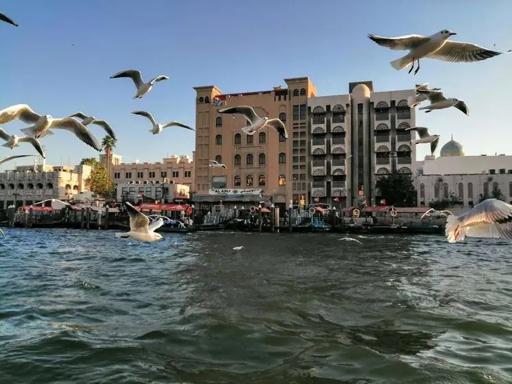 Dubai Creek. (EL CORREO)