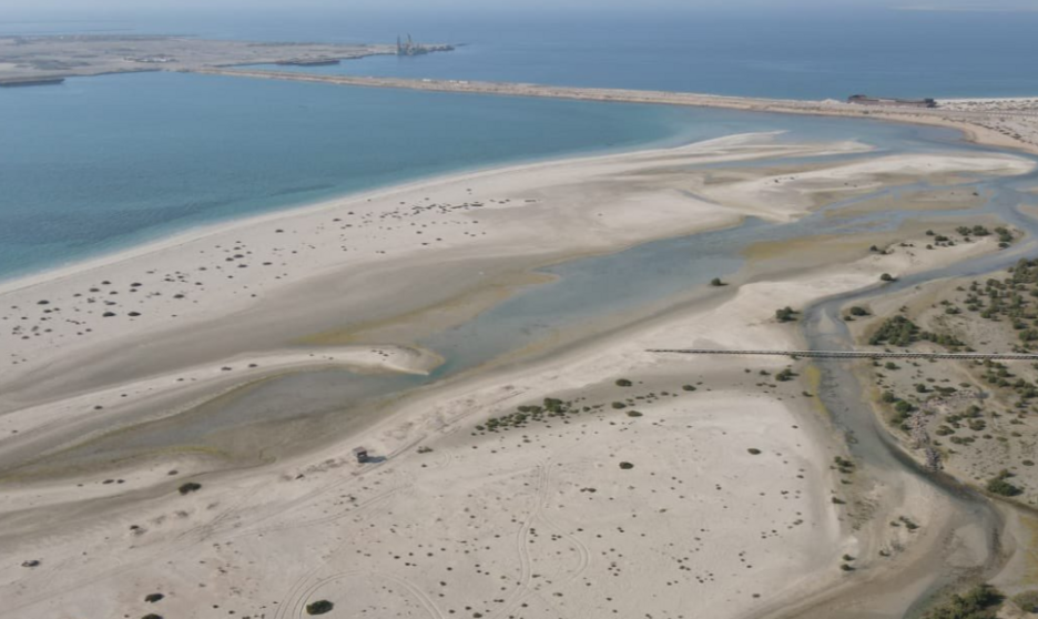 Una imagen del parque de manglares en Jebel Ali de Dubai. (Twitter)