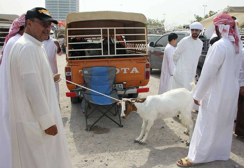 Un cordero se resiste a acompañar a su comprador en el mercado de Ras Al Khaimah este sábado. (EL CORREO)