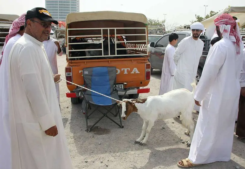 Un cordero se resiste a acompañar a su comprador en el mercado de Ras Al Khaimah. (EL CORREO)
