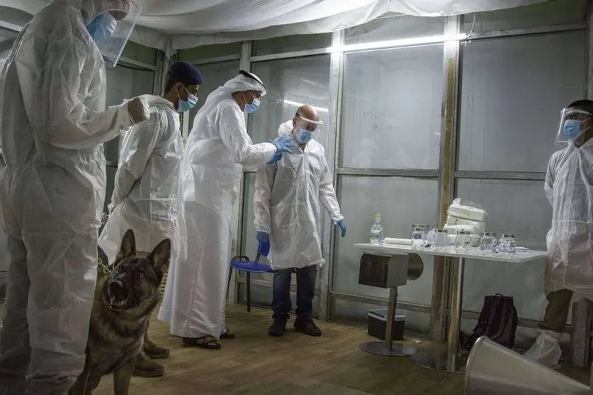 Perros K9 en Aeropuertos de Emiratos Árabes. (WAM)