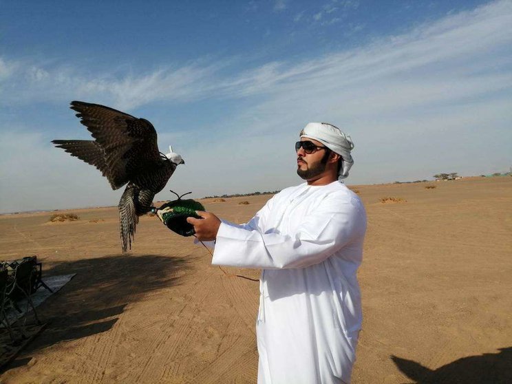 Un emiratí entrena a su halcón. (EL CORREO)
