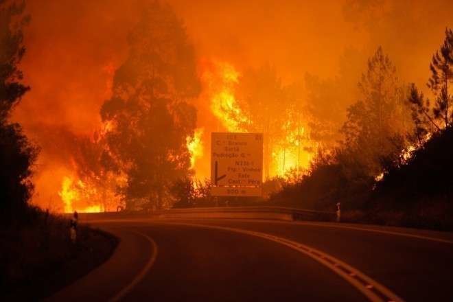 En la foto de Efe, las llamas junto a la autopista del Algarve en Portugal. 