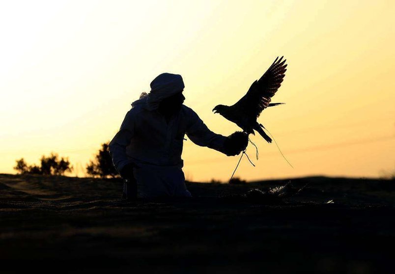 Reserva de caza de Al Marzoom en Emiratos Árabes. (EL CORREO)