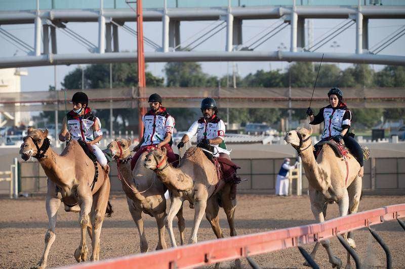 Una imagen de la carrera camellos. (Fuente externa)