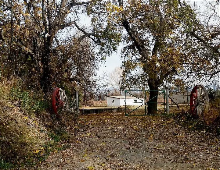 "Nada más llegar a Mendoza y entrar dejó su maleta y abrió la ventana respirando el aire fresco de la mañana". (pxhere.com)