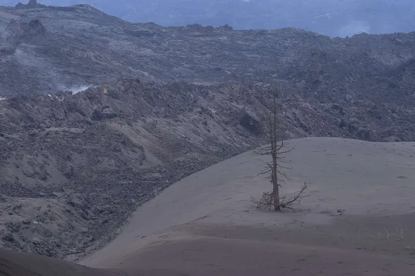 Volcán de Cumbre de Vieja (Gobierno de Canarias)