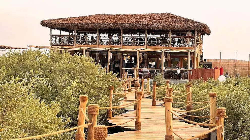 Mikoko se encuentra en un verdadero paraíso en Mangroves Beach en Unm Al Quwain. (EL CORREO)