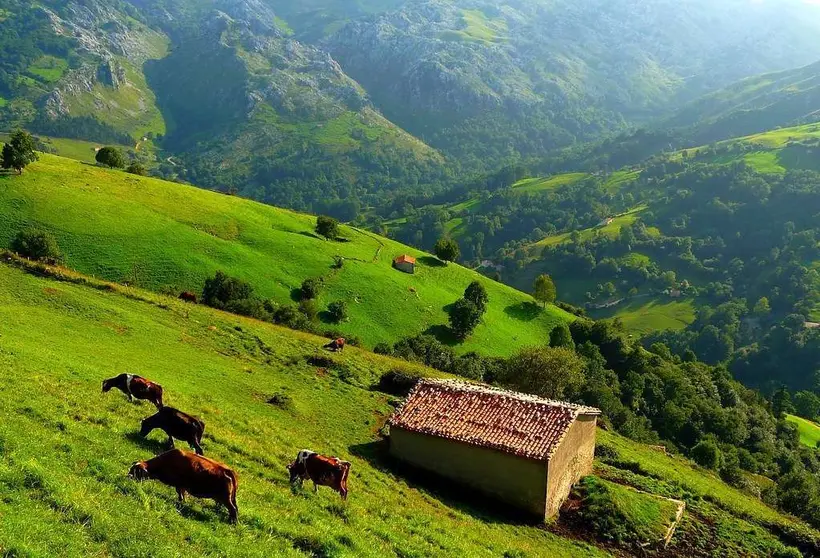 Cantabria