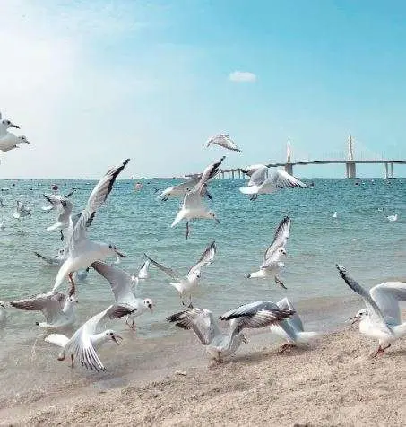 Una imagen de la playa de Al Bateen en Abu Dhabi. (Twitter)