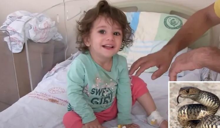 La niña turca que fue mordida por la serpiente. (Al Arabiya)