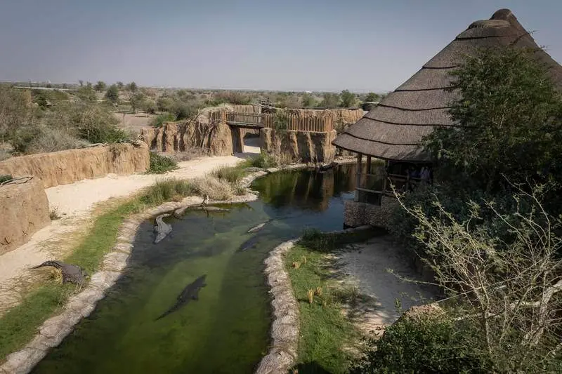 Una imagen del Safari de Sharjah. (Fuente externa)