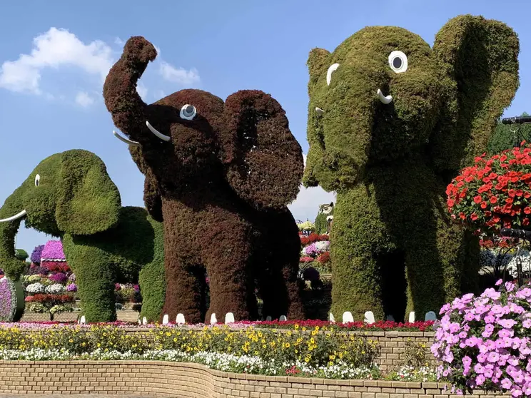 Imagen de Miracle Garden. (ELCORREO)