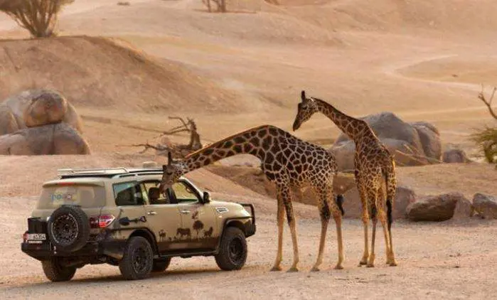 Una imagen del zoo de Al Ain. (Fuente externa)