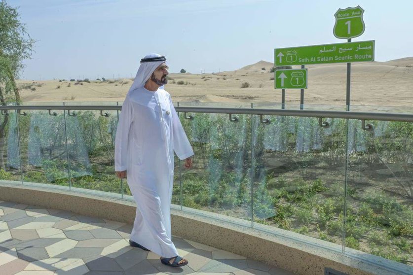 El gobernante de Dubai pasea por una zona rural del emirato. (Twitter)