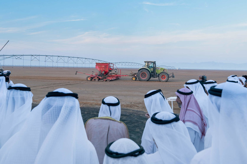Autoridades del emirato de Sharjah en la plantación de trigo. (WAM)
