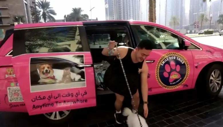 Una captura de pantalla del vídeo del taxi para mascotas. (Twitter)