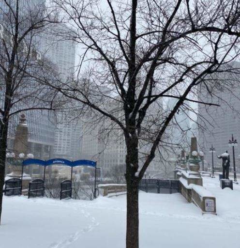 Una imagen invernal en Chicago. (Patricia Mogollón)