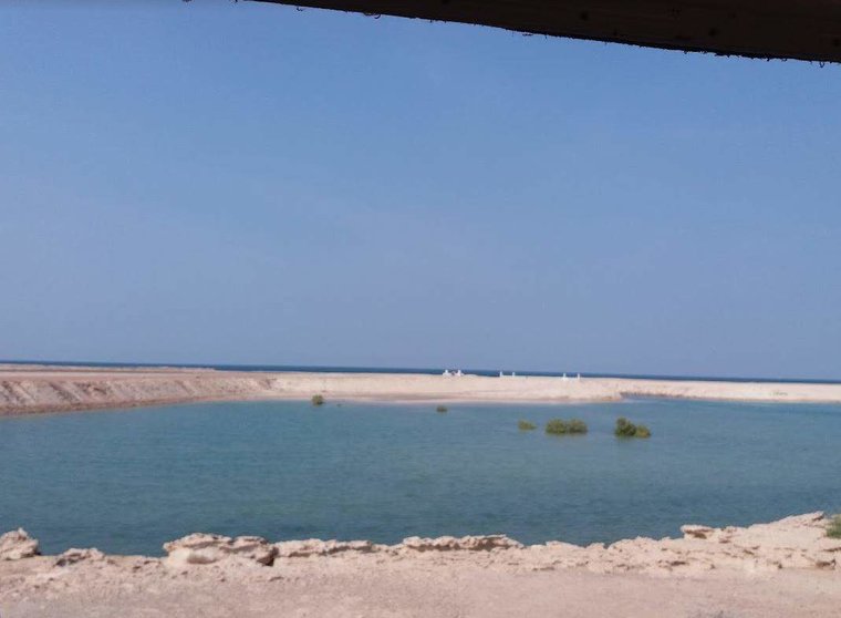 Una imagen de la isla Sir Baniyas en Abu Dhabi. (EL CORREO)