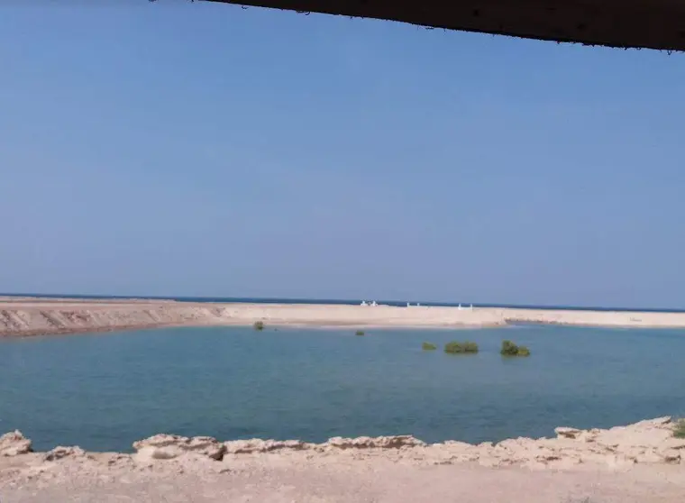 Una imagen de la isla Sir Baniyas en Abu Dhabi. (EL CORREO)
