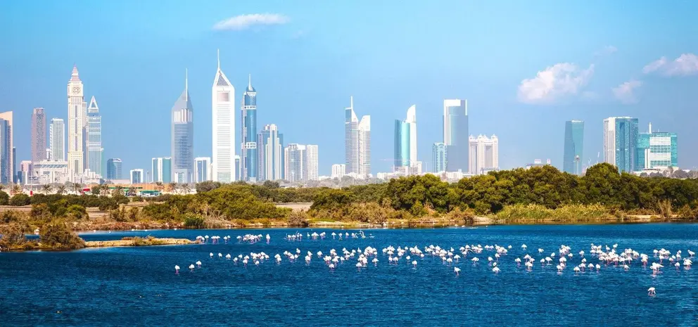 Una imagen del centro de Dubai. (Dubai Media Office)