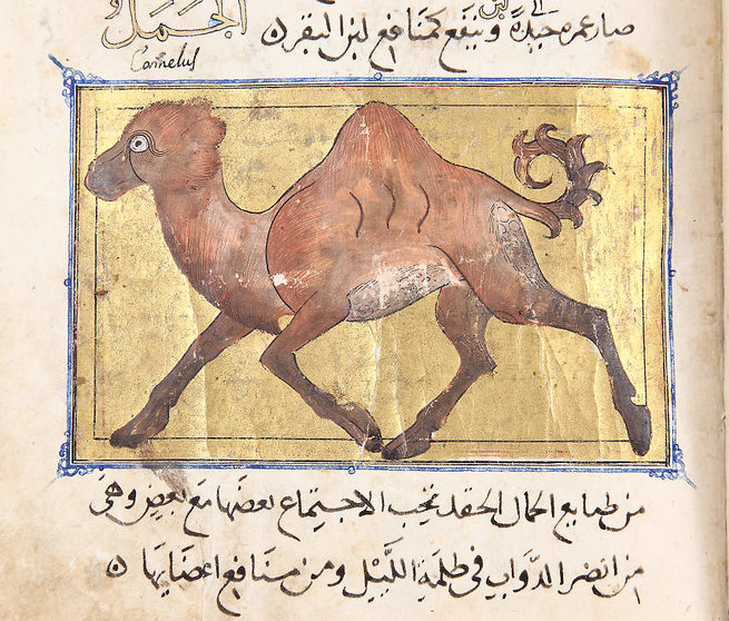 Uno de los manuscritos españoles exhibidos en Sharjah. (WAM)