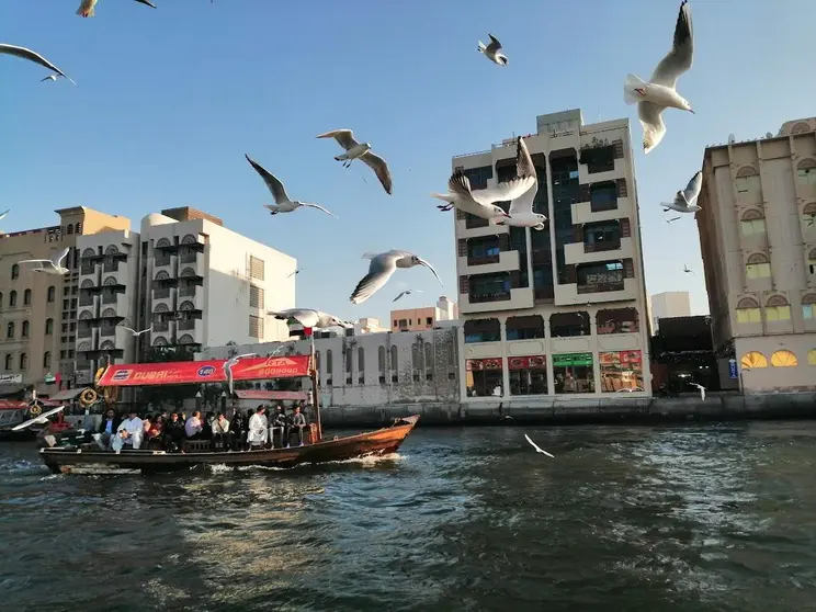 Un barco cruza el Creek de Dubai. (EL CORREO)