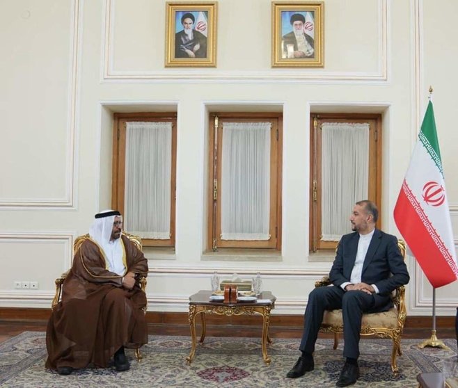 El ministro de Estado de EAU junto al ministro de Exteriores de Irán. (WAM)