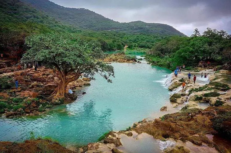 Una imagen de Salalah en Omán. (Fuente externa)