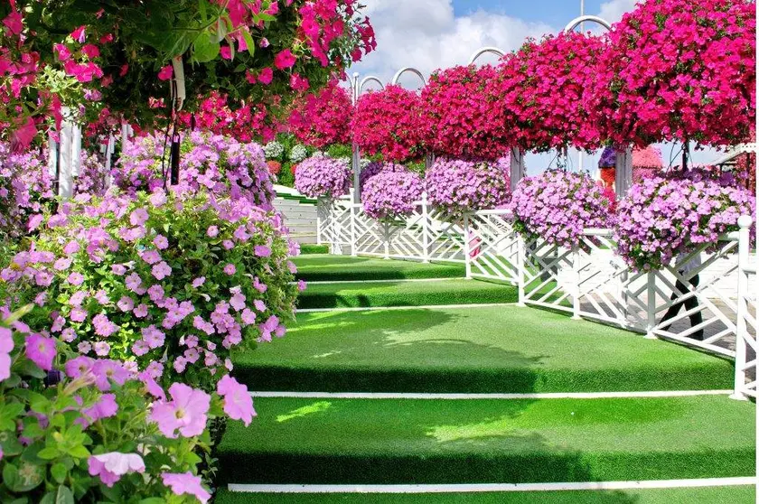 Una imagen del Dubai Miracle Garden. (Twitter)