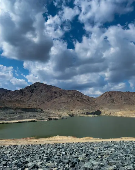 Paisaje invernal en Emiratos Árabes Unidos. (WAM)