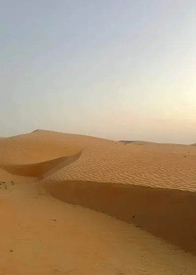 Una imagen de un desierto a modo ilustrativo. (Fuente externa)