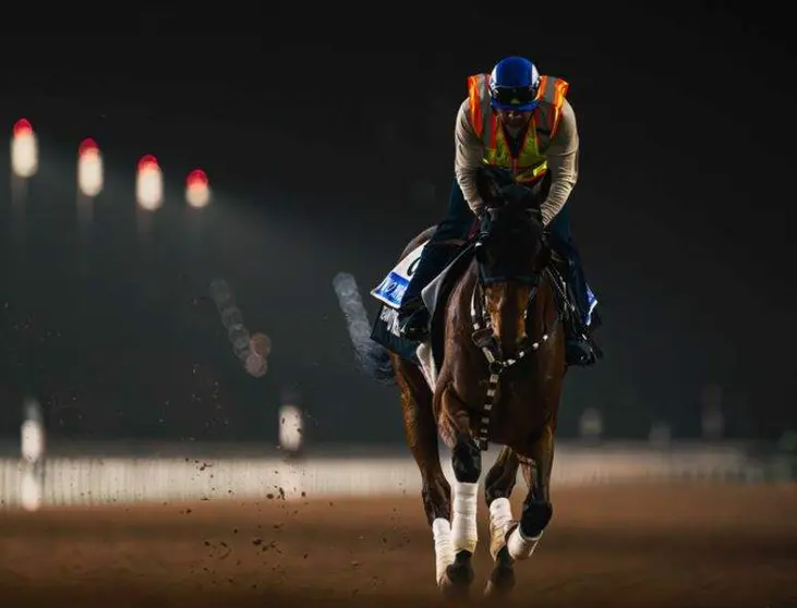 Caballo y jinete en plena carrera. (Dubai Racing Club)