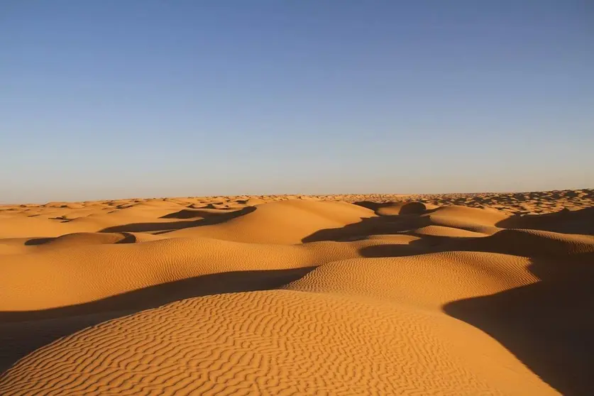 (Desierto Emiratos Árabes Unidos. Imagen Suministrada)