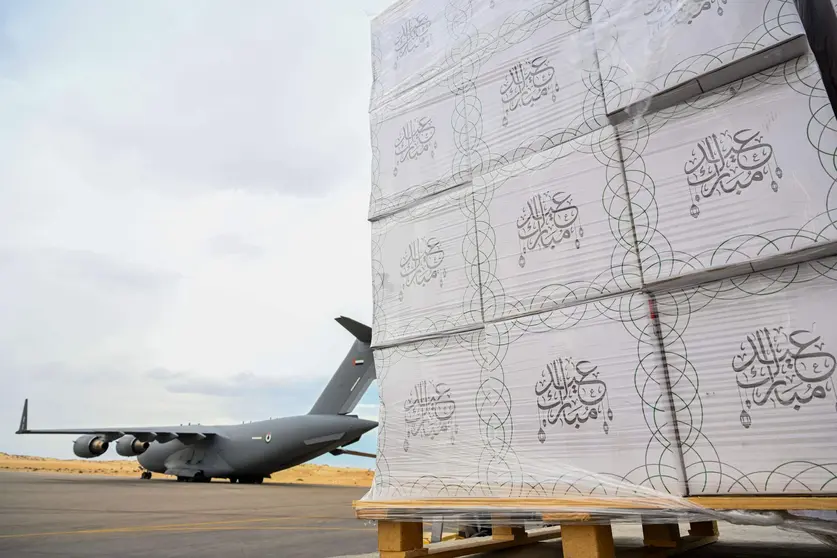 El avión de EAU con la ayuda al pueblo palestino. (WAM)