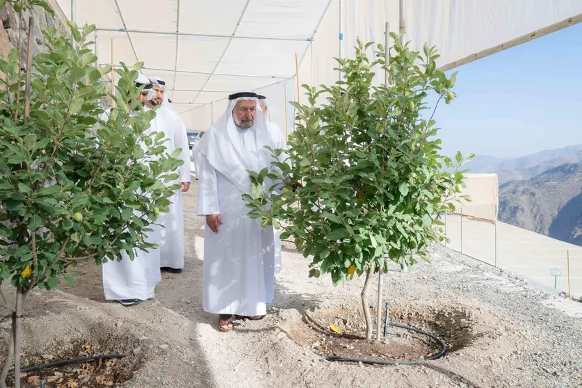 El gobernante de Sharjah recorre el retiro en la montaña de Kalba. (WAM)