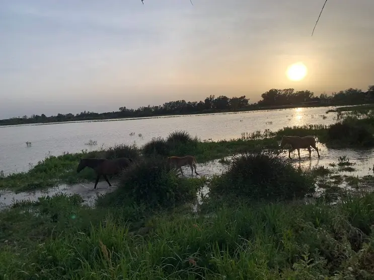 La tierra gira alrededor del sol. (EL CORREO)