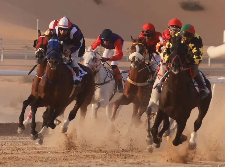Una imagen de una edición de la carrera de caballos de Al Dahfra. (WAM)