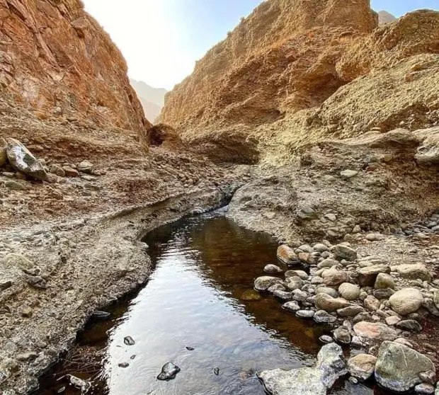 Parque Nacional Wadi Wurayah. (X)