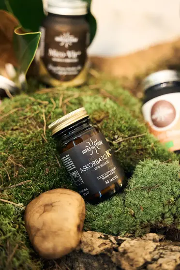 Hifas da Terra